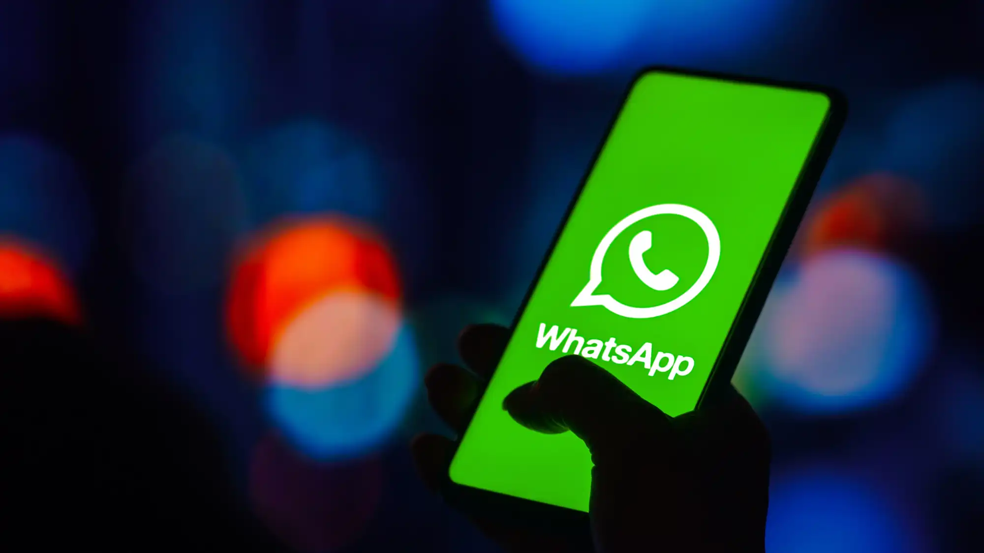 WhatsApp号码检查器检查用户数据,提高WhatsApp转化率。